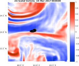 smallDomain_vorticity.png