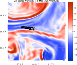 smallDomain_vorticity.png