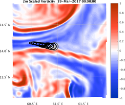 smallDomain_vorticity.png