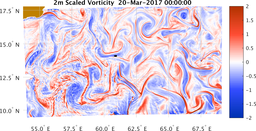 bigDomain_vorticity.png