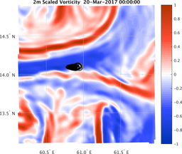 smallDomain_vorticity.png