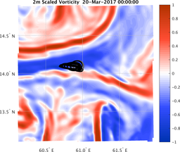 smallDomain_vorticity.png