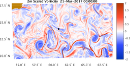 bigDomain_vorticity.png