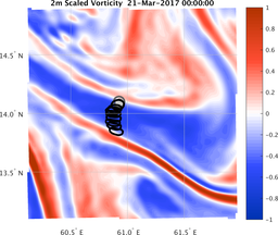 smallDomain_vorticity.png