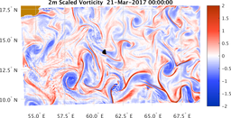 bigDomain_vorticity.png