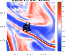 smallDomain_vorticity.png