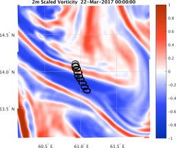 smallDomain_vorticity.png