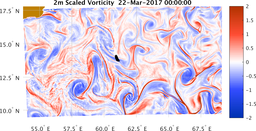 bigDomain_vorticity.png