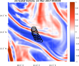 smallDomain_vorticity.png