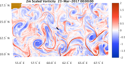 bigDomain_vorticity.png