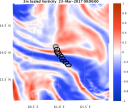 smallDomain_vorticity.png