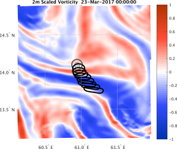 smallDomain_vorticity.png