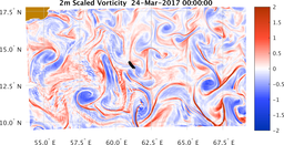 bigDomain_vorticity.png