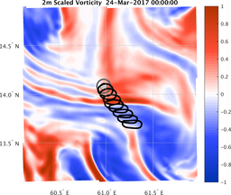 smallDomain_vorticity.png