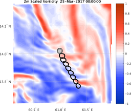 smallDomain_vorticity.png