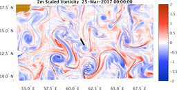 bigDomain_vorticity.png