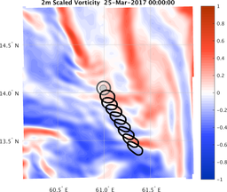 smallDomain_vorticity.png