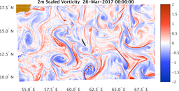 bigDomain_vorticity.png