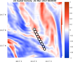 smallDomain_vorticity.png