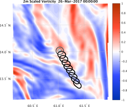 smallDomain_vorticity.png