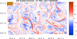 bigDomain_vorticity.png