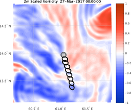 smallDomain_vorticity.png