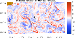 bigDomain_vorticity.png