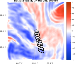 smallDomain_vorticity.png