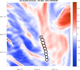 smallDomain_vorticity.png