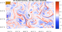 bigDomain_vorticity.png