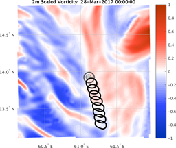 smallDomain_vorticity.png