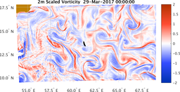 bigDomain_vorticity.png