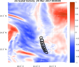 smallDomain_vorticity.png