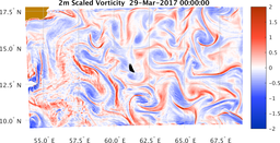 bigDomain_vorticity.png