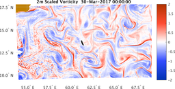 bigDomain_vorticity.png