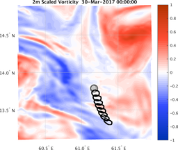 smallDomain_vorticity.png