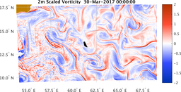 bigDomain_vorticity.png