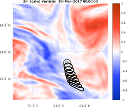 smallDomain_vorticity.png