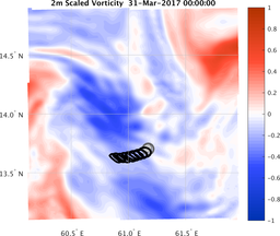 smallDomain_vorticity.png