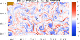 bigDomain_vorticity.png