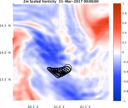 smallDomain_vorticity.png