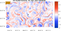 bigDomain_vorticity.png