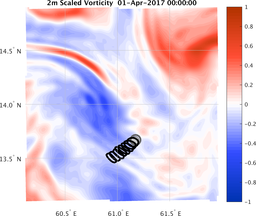 smallDomain_vorticity.png