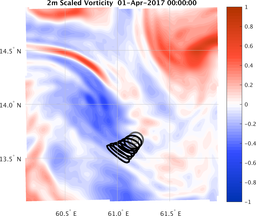 smallDomain_vorticity.png