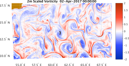 bigDomain_vorticity.png