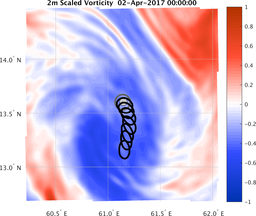 smallDomain_vorticity.png