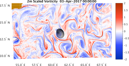 bigDomain_vorticity.png