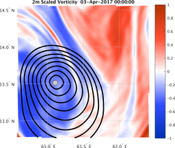 smallDomain_vorticity.png