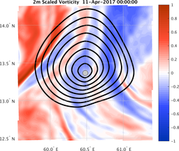 smallDomain_vorticity.png