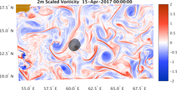 bigDomain_vorticity.png